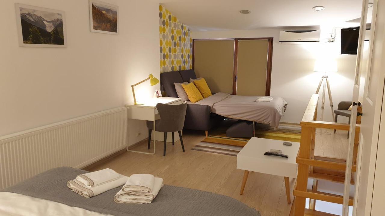 Fagaras Cosy Flat Villa Eksteriør bilde