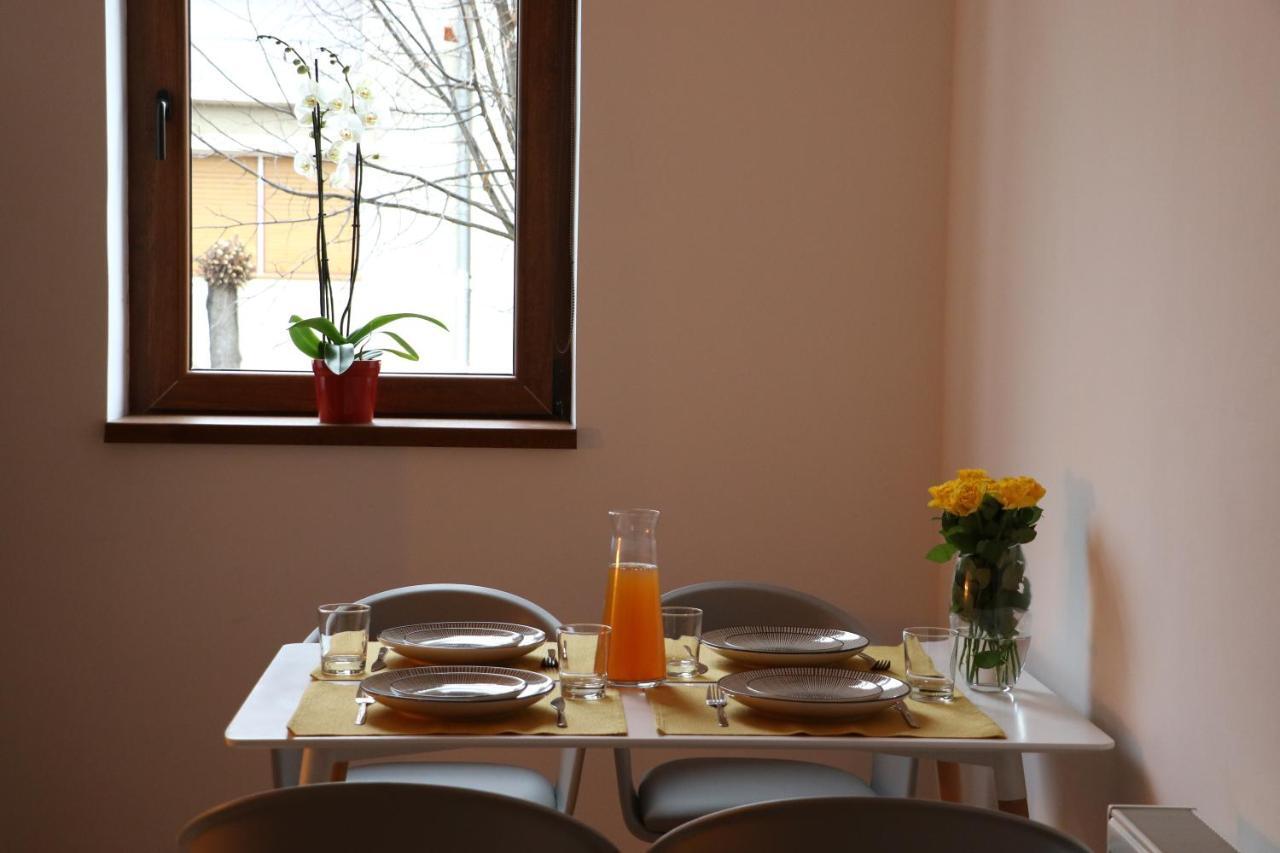 Fagaras Cosy Flat Villa Eksteriør bilde
