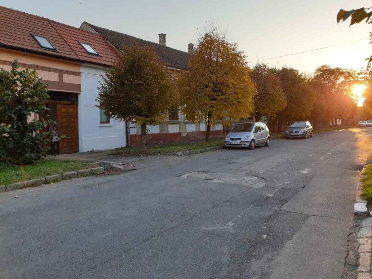Fagaras Cosy Flat Villa Eksteriør bilde